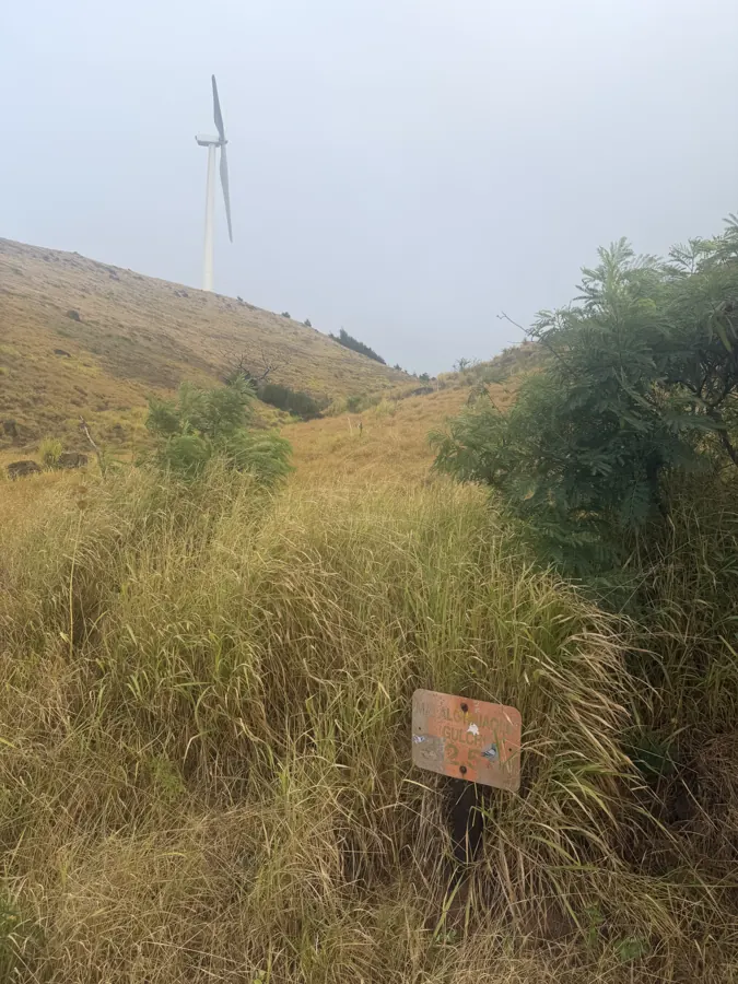 Manawainui Gulch trail marker, with a turbine visible on the ridge above.