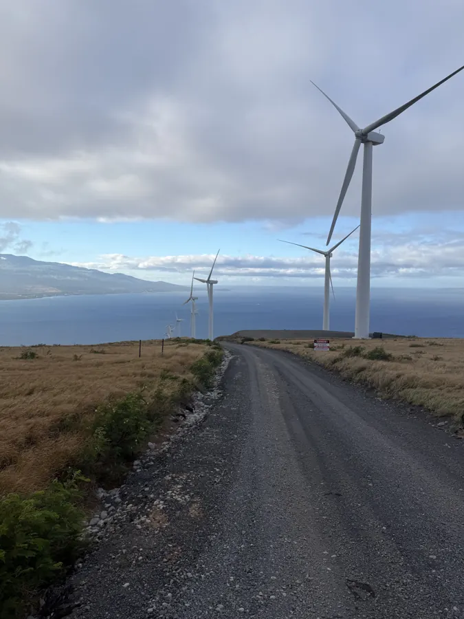 The wind farm's gravel access road along the ridgeline.